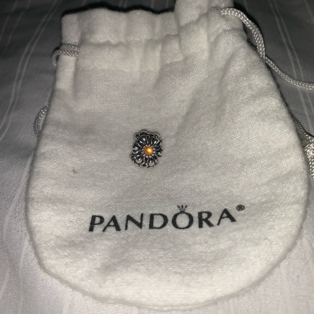 Authentic pandora charm